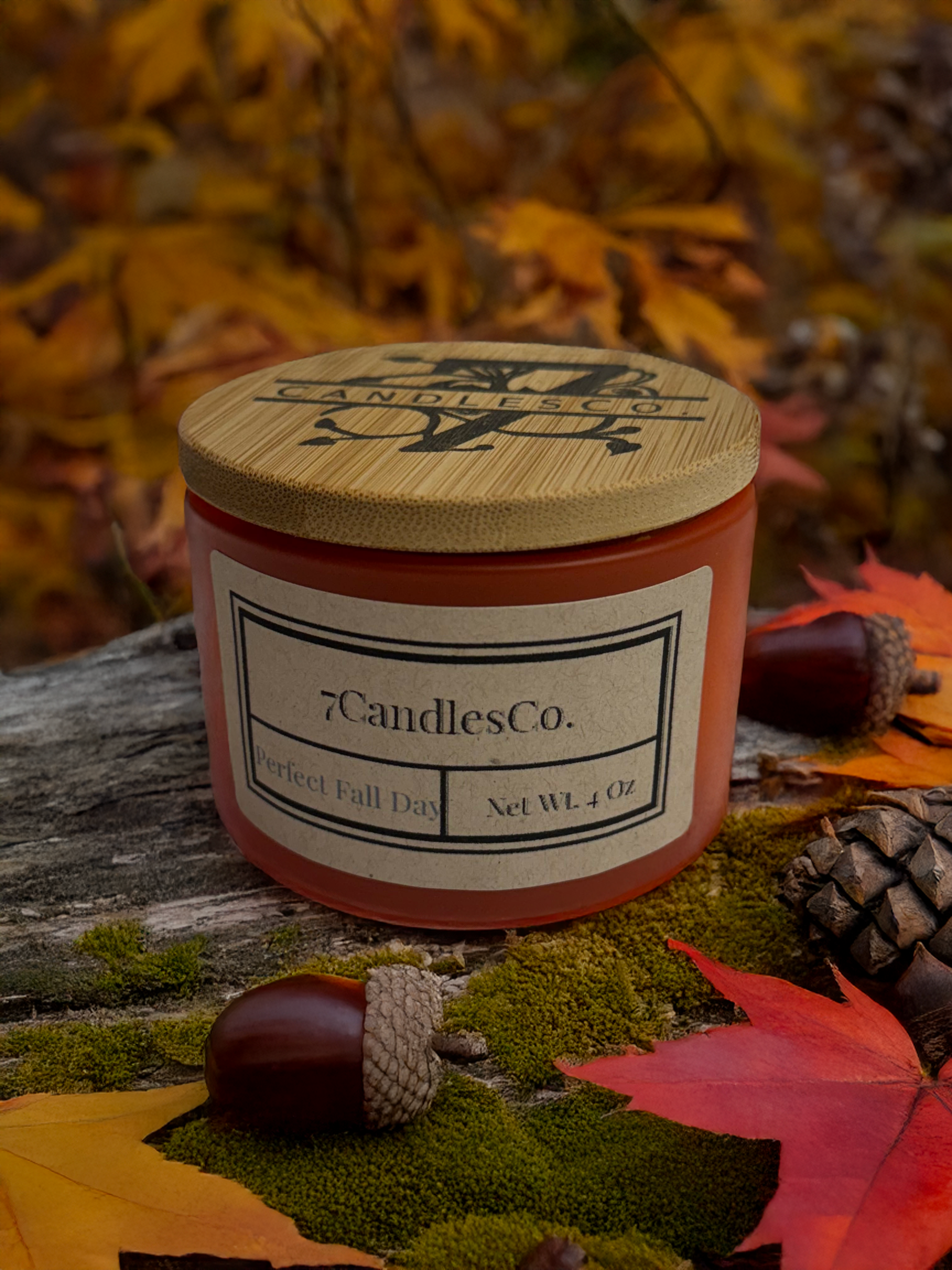 Perfect Fall Day - 4oz Soy Wax Candle